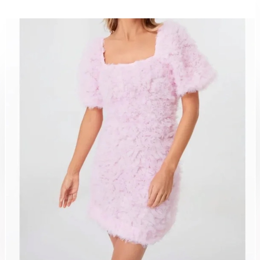 Easter Dress!! Hyacinth House/Tuckernuck new pink textured Cora dress Size L